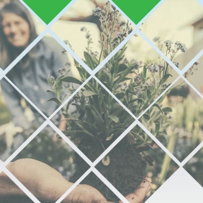 Dia da Responsabilidade Social